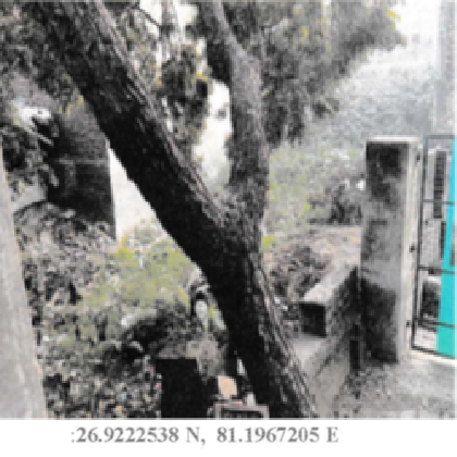 V P Singh Contractor